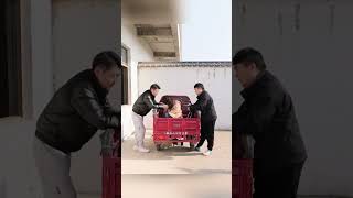 أخذ الكلب حقيبة الفتاة المليئة بالمال وركض بسرعة.