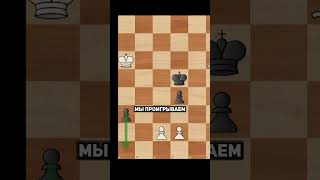 Настоящий Шахматный Шедевр! #chess  #шахматы