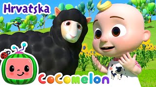 Baa baa crna ovca | CoComelon Hrvatska | Crtaći filmovi i dječje pjesme na hrvatskom