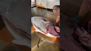 Like Butter! World's Sharpest Knife Slices Giant Bluefin Tuna Effortlessly! 🔪🐟#SharpestKnife