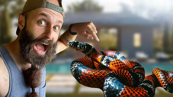 Encontramos esta serpiente en casa 😱