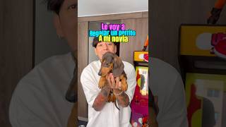 Le regale un perrito a mi novia