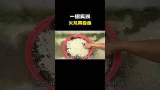 看完就会,一招实现,火龙果自由!#科普 #知识 #冷知识