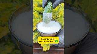 И вы очень удивитесь этому результату 🔥✅ #lifehacks #юмор