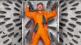 당신의 가장 큰 두려움을 극복하고, 80만 달러를 받으세요