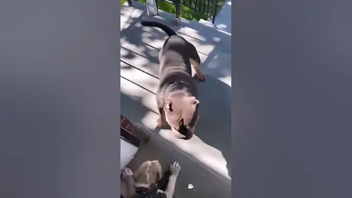 MOM IS HERE 😂😂😂