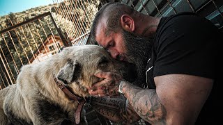 Wir haben einen Kangal von der Kette befreit!