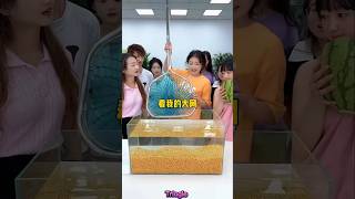 Find gold bracelet from water win big cash🏆🤩👌~mini wood toy-woodworking art skill/wood hand #shorts