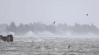 Trực tiếp: Tâm bão số 5 (Kajiki) đang vào đất liền Nghệ An - Hà Tĩnh