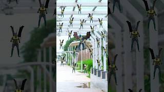 Survival Skills: SIMPLE and USEFUL #bushcraft #camping #outdoors