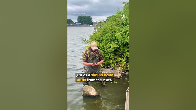 Brave guy taking on this fierce mama 👏