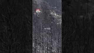 Bilanci i dëmeve nga zjarret, shtëpi, kafshët dhe kultura bujqësore të djegura