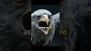 Águila parte 1