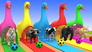 Long Slide Game With Cow Elephant Gorilla Hippopotamus Tiger - 3d Animal Game - Funny 3d Animals