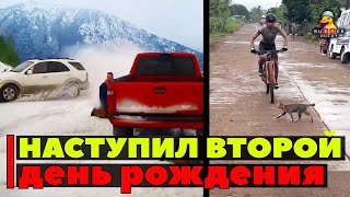 Наступил второй день рождения