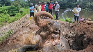 𝙏𝙝𝙚 𝙚𝙡𝙚𝙥𝙝𝙖𝙣𝙩 𝙨𝙩𝙪𝙘𝙠 𝙞𝙣 𝙩𝙝𝙚 𝙝𝙤𝙡𝙚 𝙞𝙣 𝙩𝙝𝙚 𝙙𝙖𝙢  😢😢#wildlife #animals #animalplanet #bbcearth