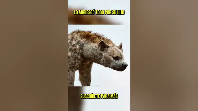 😢 Lo arriesgó todo por su hijo... #shorts