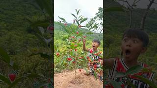 Survival Skills: SMART idea and USEFUL in Forest #bushcraft #camping #outdoors