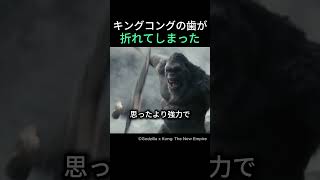 キンコングの歯が折れてしまった