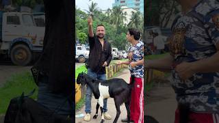 itna sasta bakra 🤣🤣 #suzzanemalik #shorts #comedy #funny #foryou