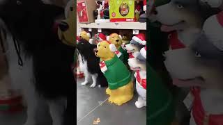 숨바꼭질 2부 😂😂😂