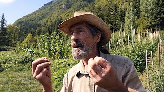 Vlašički robinzon - motika je najbolji lijek i to besplatan