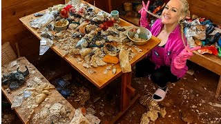 이 평화로운 오두막은 끔찍한 상태로 방치되었습니다.