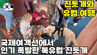 진돗개, 북유럽 국제여객선 첫 탑승! 외국인들 반응 폭발ㅋㅋ