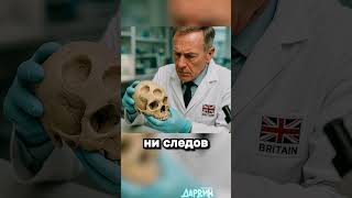 Что думаете?