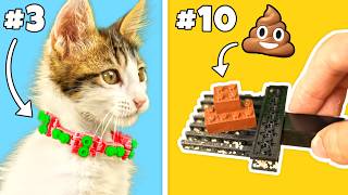 LEGO BUILDS for a CAT 🐱