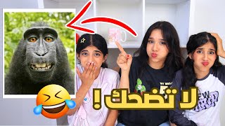 اتحداك ما تضحك بالفيديو هذا !!!  عقاب لخسران شفا