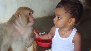 Monkey rani Amaging vidio ।। Mummy ki friend rani ki Care karti hai 🤗 ।। 