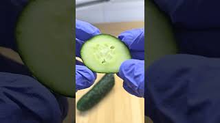 Как отличить огурец с нейтратами