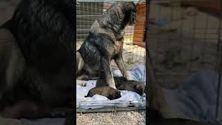 Gerettet  ❤️‍🩹