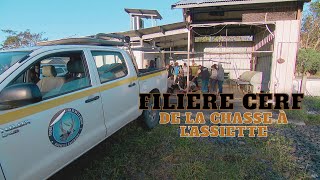 🦌 Structurer la filière cerf en Nouvelle-Calédonie