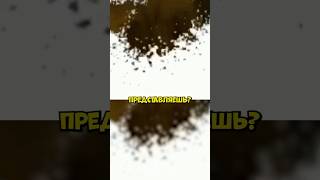 ДУШНИЛА № 66