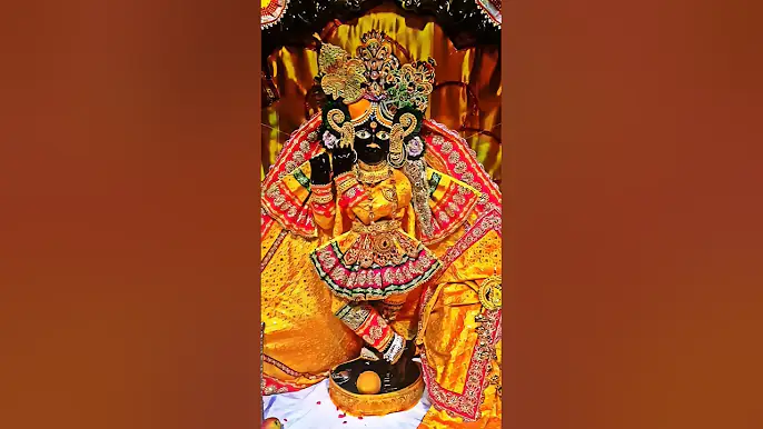 বাঁকে বিহারী জীর সামনে পর্দা টানা হয় কেন | Why the Curtain Keeps Closing #shorts #facts #ytshorts