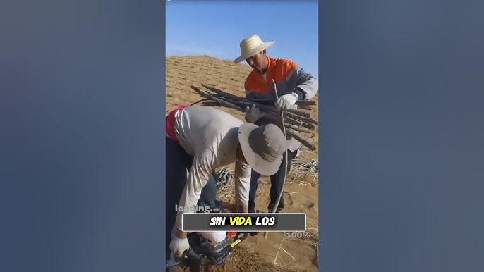 Éste nuevo Proyecto de China hizo Temblar a Estados Unidos 🤯😱🌎