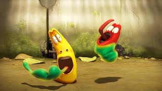 LARVA - Énergie verte | WildBrain Enfants | Dessins animés pour enfants