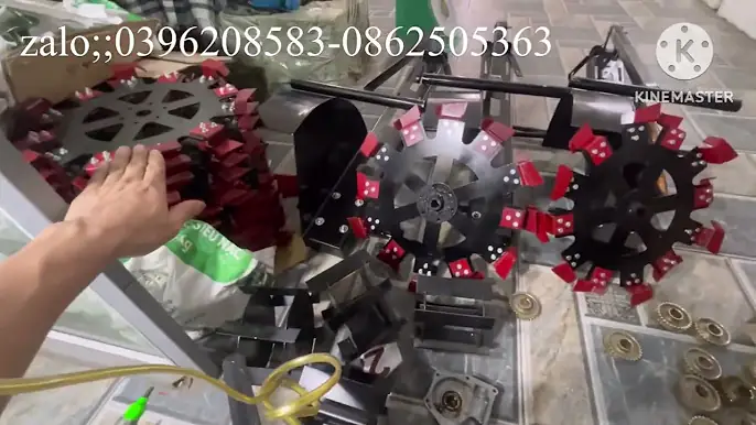 sự thật bên trong xạc cỏ sới đất  ( thật giả lẫn lộn ) xem mới hiểu