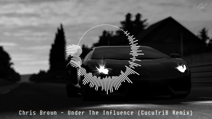 Chris Brown - Under The Influence (CucuTriB Remix)