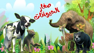 اغنية صغار الحيوانات🥳 | اغاني اطفال بون بون