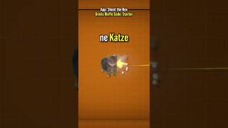 OIIAOIIA Katze Zum Spiel Hinzufügen 😹