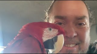 Un p'tit café avec toi et Jackson mon perroquet.