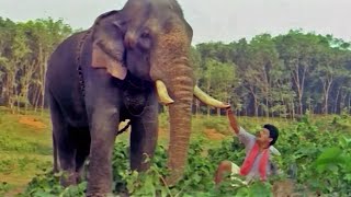 "ആന ഇടഞ്ഞ് നിൽക്കുകയാ സൂക്ഷിക്കണേ.." | Jagadish Malayalam  Movie Scene | Gajarajamanthram