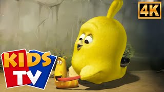 Ճուտիկը Ժամանց🐤😂 | 3D անիմացիոն կատակերգական դրվագ երեխաների համար