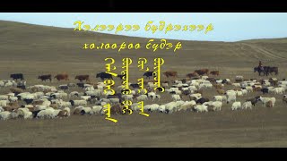 Дамбаа Дэмбээ хоёр /2025.07.15/