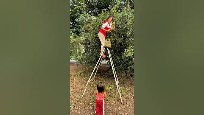 Survival Skill: SMART ideas and USEFUL with single mom #bushcraft #camping #outdoors #survival