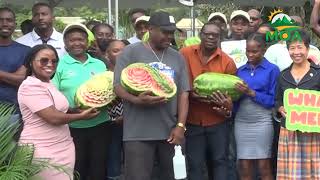 TTM and Ministry of Agriculture Introduce Seedless Watermelons Under Seven Crops Project