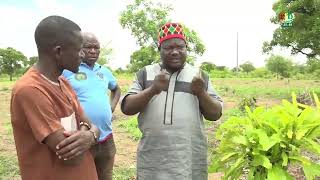 사부에서의 일주일: 내인성 노하우와 전통 의학에 집중